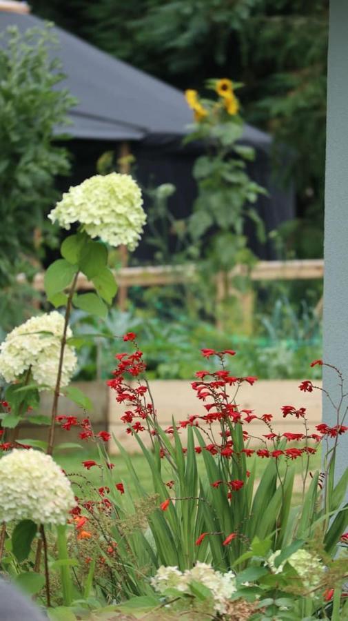 Aughavannagh Yurt Glamping Aughrim Zewnętrze zdjęcie