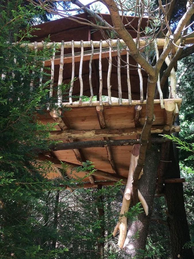 Aughavannagh Yurt Glamping Aughrim Zewnętrze zdjęcie
