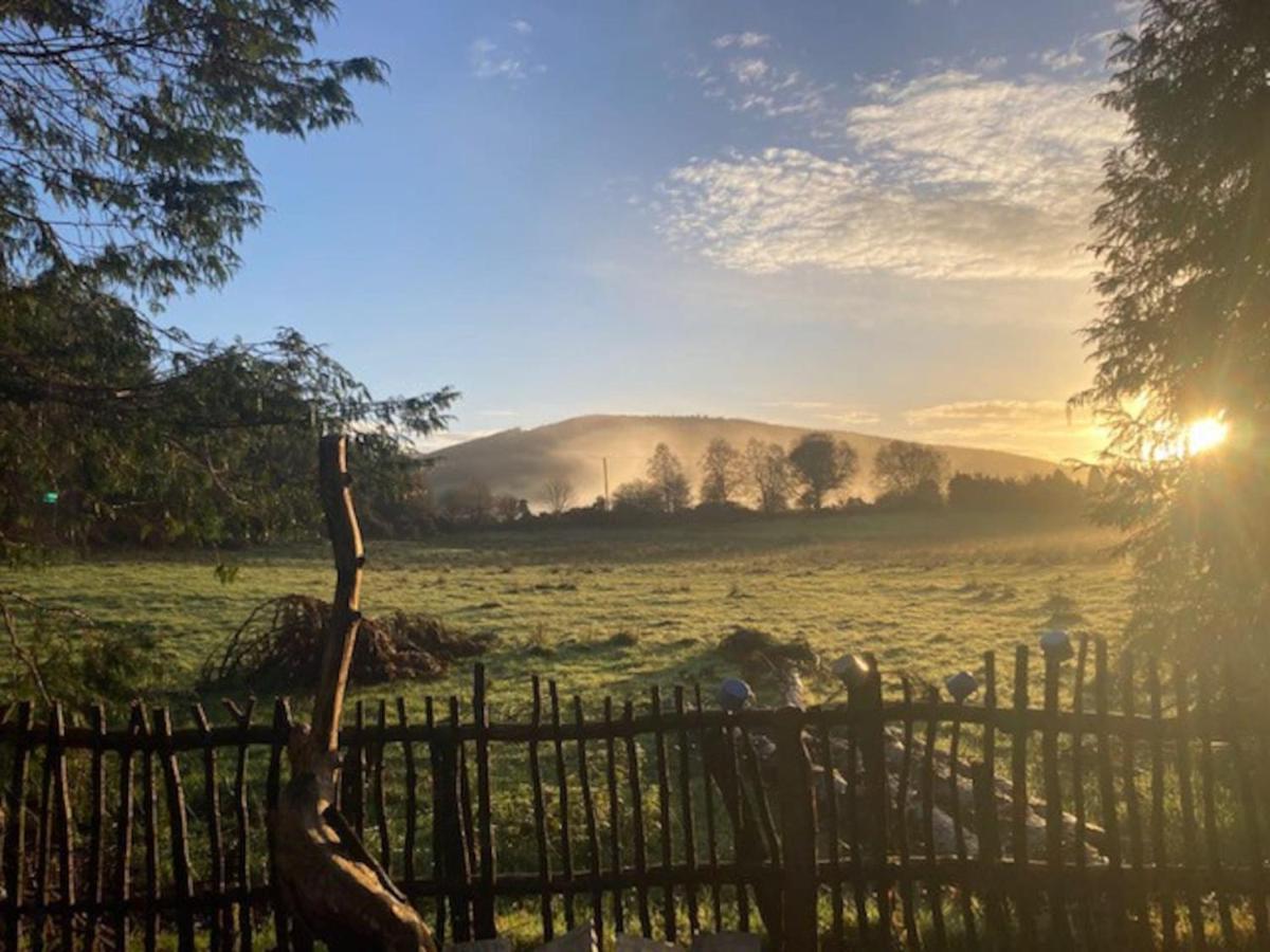 Aughavannagh Yurt Glamping Aughrim Zewnętrze zdjęcie